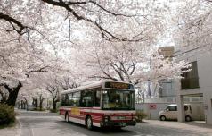 徒歩1分のバス停のある「喜平町桜通り」